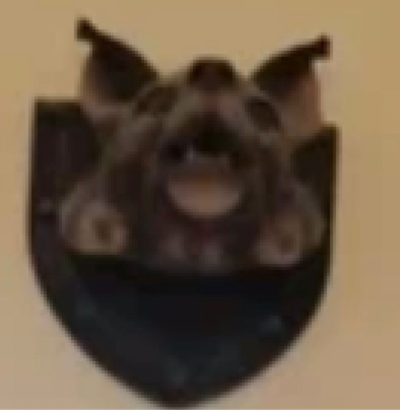 Создать мем: осторожно злая собака, охотничий трофей кабан, маска кабана