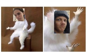 Создать мем: кошка, белое животное разводит руками мем, белый зверек мем