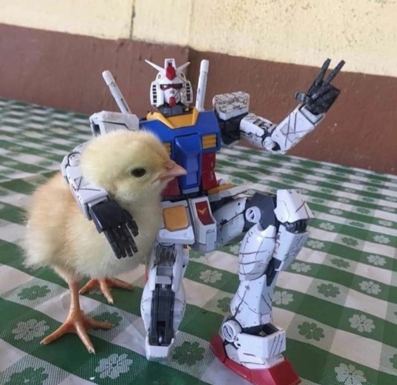 Создать мем: цыпленок на мотоцикле, lego fight robot, hansa цыпленок, 12 см