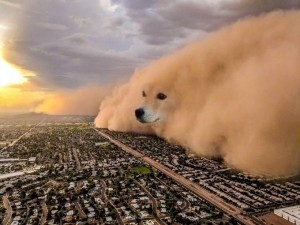 Создать мем: doge meme, мем doge, doge