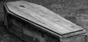 Create meme: death, in the coffin, Troon