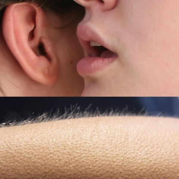 Create meme: Whispers goosebumps in my ear, whispers meme goosebumps, Whisper in your ear