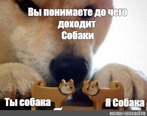 Я собака ты собака