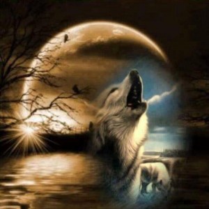 Create meme: wolves drawings, wolf wolf, the howling wolf