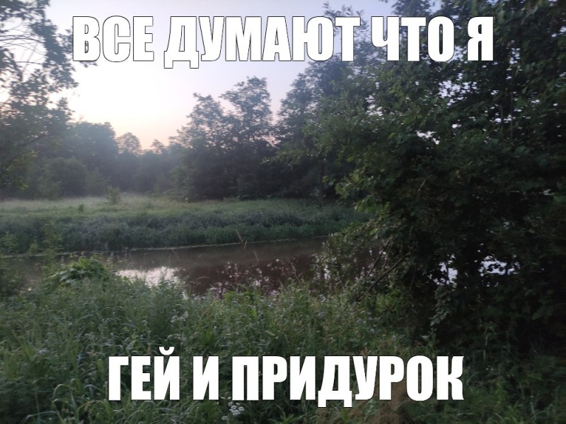 Create meme: summer landscapes, the trick , morning river