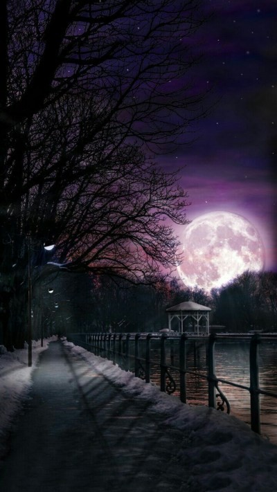 Create meme: the night the moon, beautiful night, beautiful night landscapes