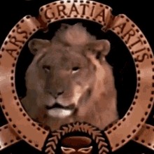 Create meme: metro golden mayer lion, The Lion of Tom and Jerry, metro Goldwyn Mayer