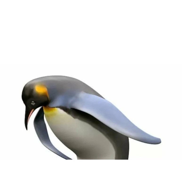 Create meme: penguin meme, penguin bird, the bowing penguin