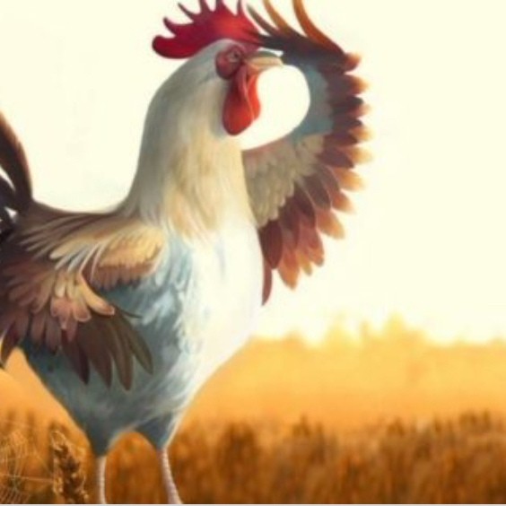 Create meme: good morning with a cock, fiery cock , the year of the rooster 