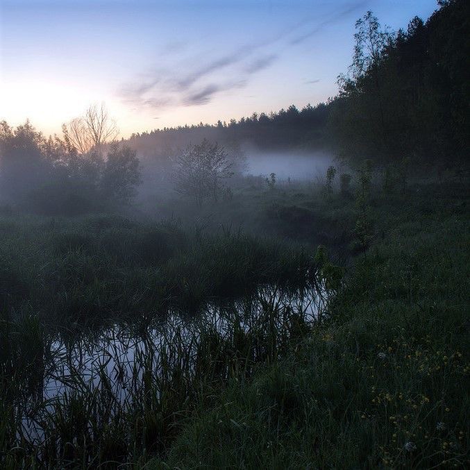 Create meme: a river landscape , landscape , morning on the river