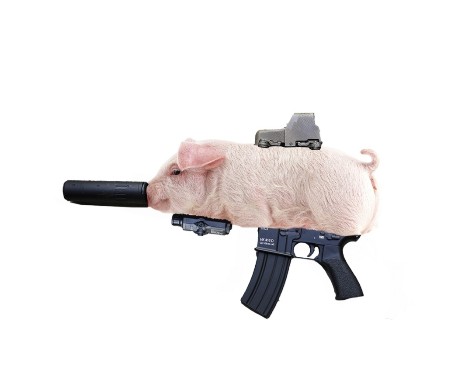 Create meme: a pig with a machine gun, pig with a machine gun, pig 
