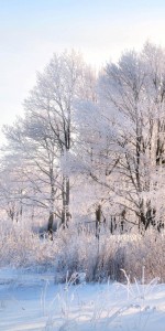 Create meme: Ivanov winter landscape painting, Angarsk winter landscape, winter