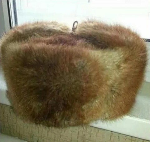 Create meme: fur hat of the USSR, fur hat with earflaps, hat fur hat