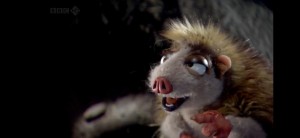 Create meme: opossums, ice age possums