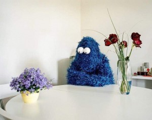 Create meme: cookie monster sesame, toy, Sesame Street