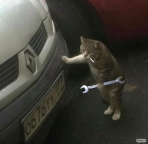 Create meme: machine cat, cat funny, cat repairs car