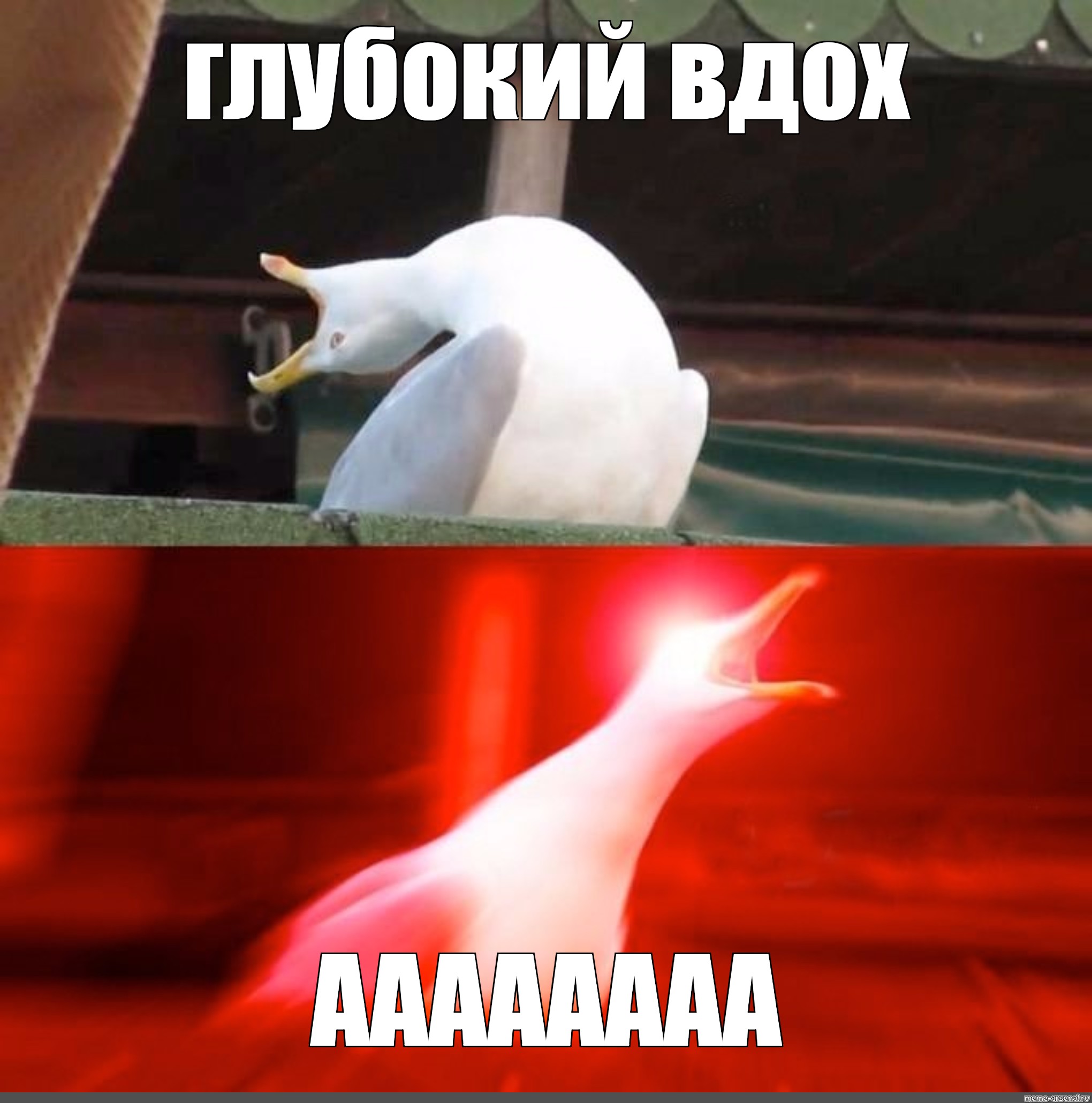 Создать мем: null