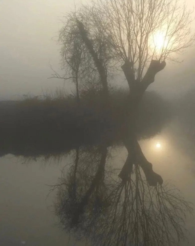 Create meme: mist over the lake, nature , landscape 