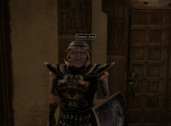 Create meme: Morrowind Puzantos, the elder scrolls iii: morrowind, The Imperial Legion of Morrowind