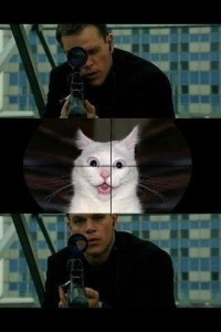 Create meme: Sniper cat