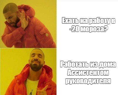 Комикс мем: Ехать на работу в -20 мороза? Работать из дома Ассистентом