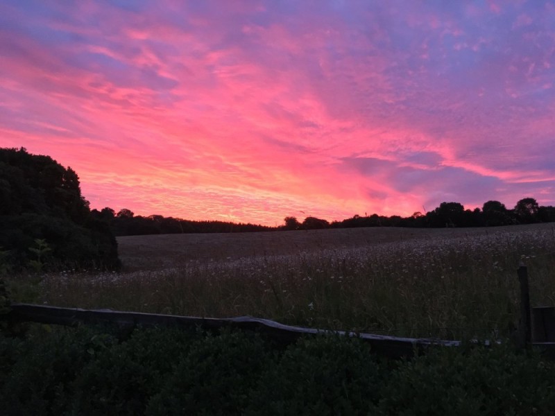 Create meme: pink sunset in the field, pink sunsets, sunset field