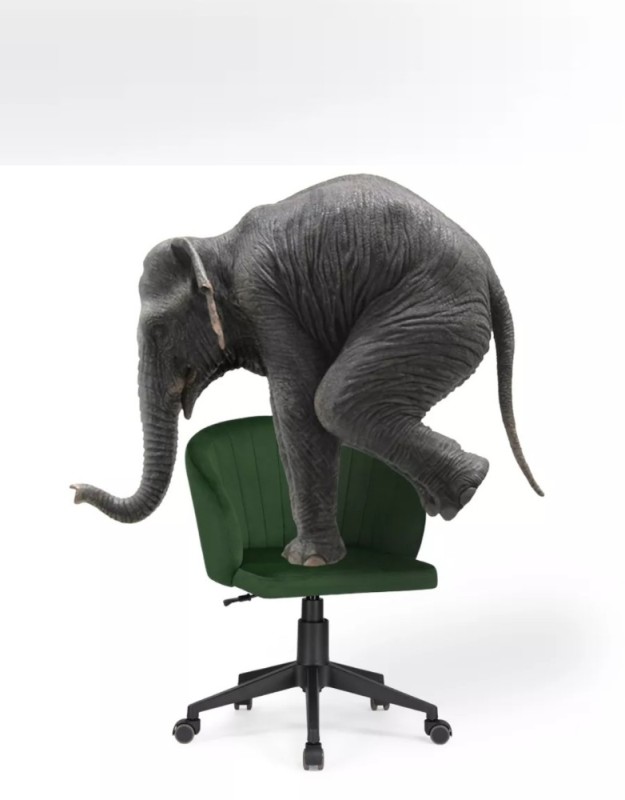 Create meme: chair office, elephant elephant, gaming chair hyper X