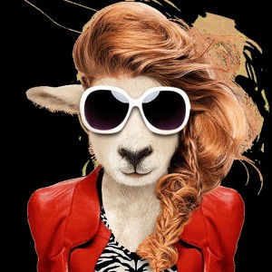 Создать мем: долли овечка, овечка долли прикол, овечка долли клип