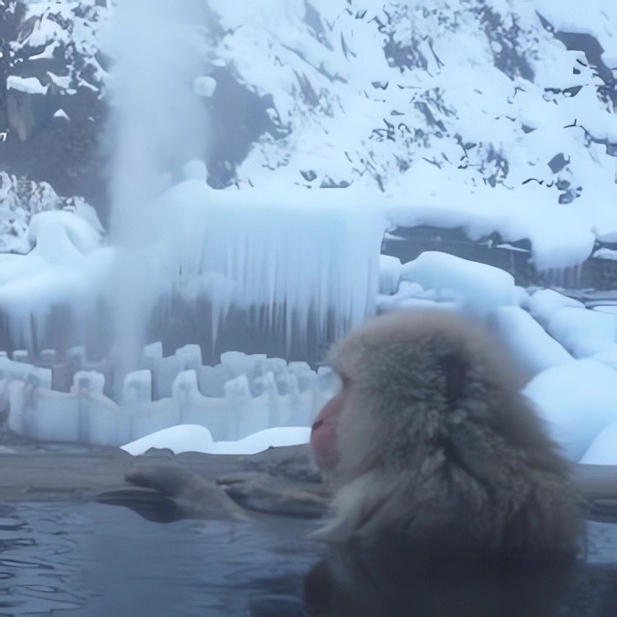 Create meme: snow monkeys onsen, hot springs, jigokudani snow monkey park