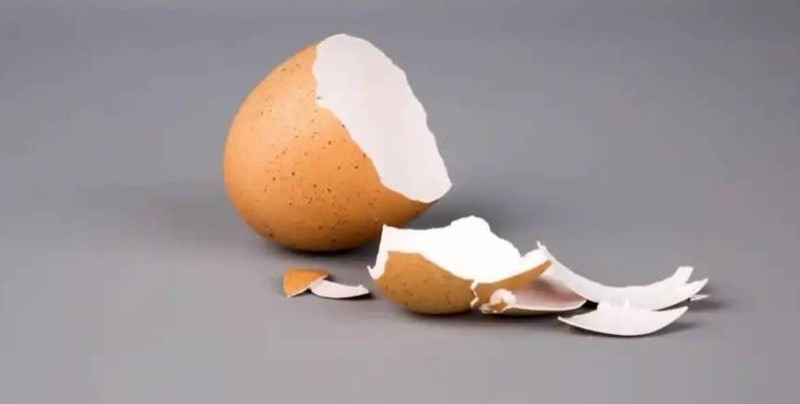 Create meme: eggshell, eggshells, eggshells