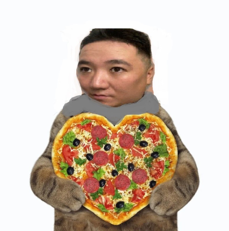 Create meme: pizza in the shape of a heart, pizza cat , pizza to