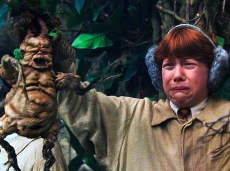 Create meme: mandrake root harry potter, mandrake harry potter footage, The mandrake from Harry Potter