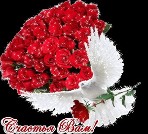 Create meme: Flowers, postcard happiness to you Hannula, photo animation of a shiny bouquet of roses