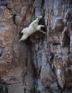 Создать мем: боязнь высоты, боюсь высоты, rock climbing