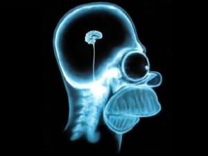 Create meme: x-ray of brain Simpson, x-ray of Homer's brain, brain Homer Simpson x-ray