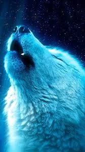 Создать мем: голубой волк, волк космос, воющий волк