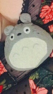 Create meme: Totoro pocket, pillow Totoro, marushin my neighbor totoro