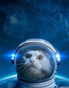 Создать мем: cats in space, животные в космосе, шар кот космонавт