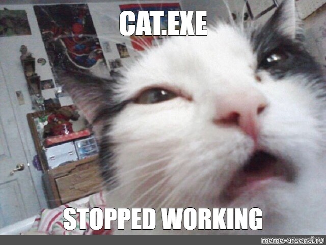 cat-exe-has-stopped-working-meme-deriding-polyphemus