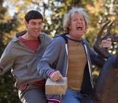 Создать мем: джим керри в фильме тупой и еще тупее, dumb and dumber 2, тупей еще тупее