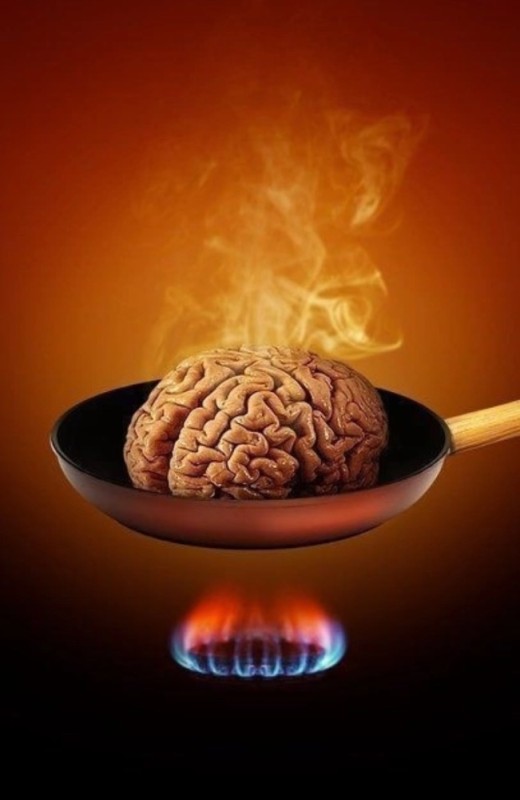 Create meme: brain , eats out the brain, The brain is on fire