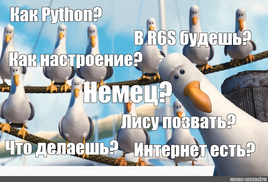 Але дай дай. Чайки дай дай дай. Чайки из Немо дай дай. В поисках Немо Чайки дай дай. Мем Чайки дай дай дай.