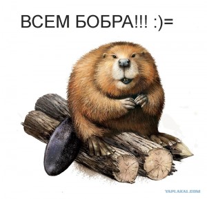 Создать мем: beaver, бобер