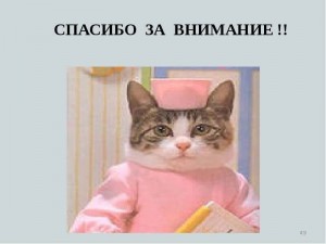 Создать мем: кот врач, котик, слайд спасибо за внимание