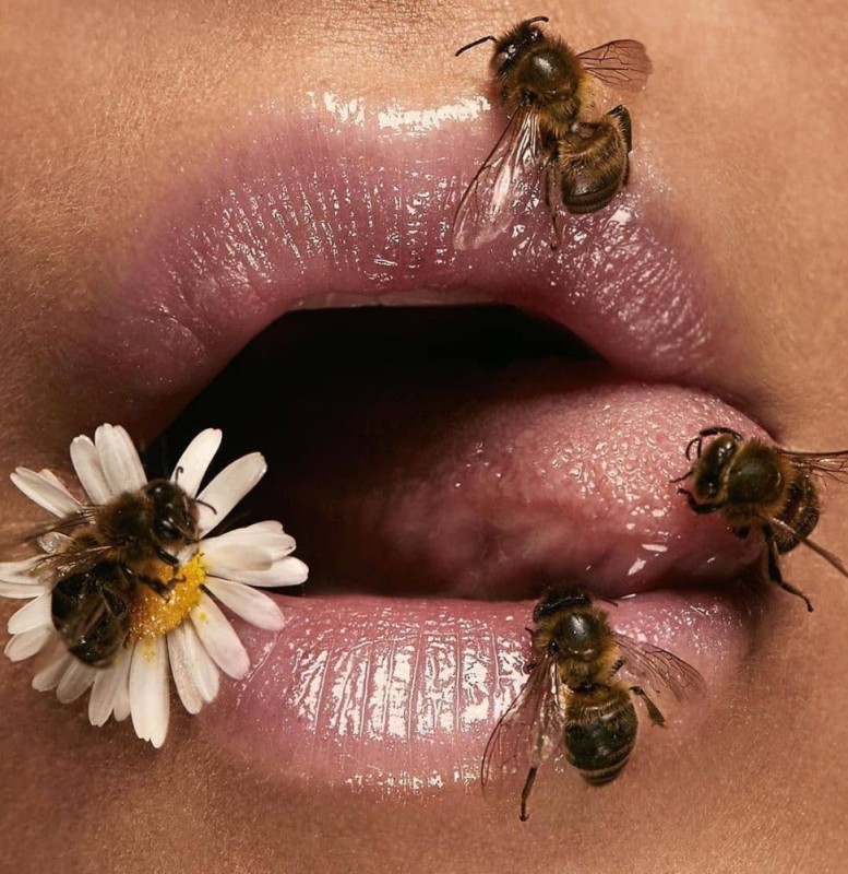 Create meme: Irwin Penn The Bee, A bee on my lips, Lips honey