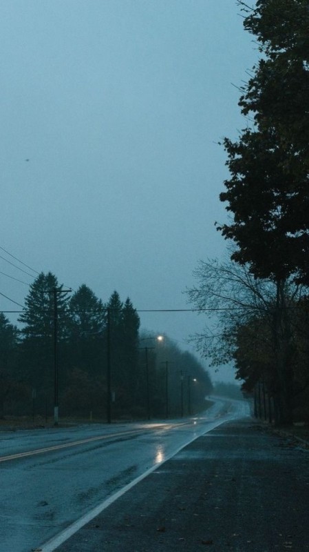 Create meme: darkness, the fog at night, road 