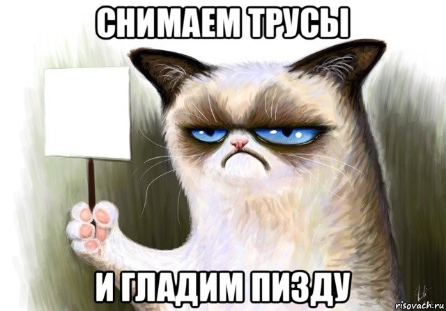 Создать мем: кот недоволен, кот мем недовольный, real grumpy cat