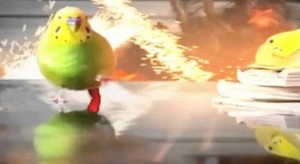 Create meme: parrot, parrot runs away from the explosion, parrot runs from explosion