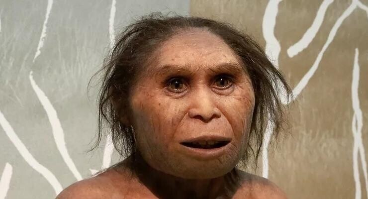 Create meme: Neanderthal girl, female Neanderthal, Neanderthal woman