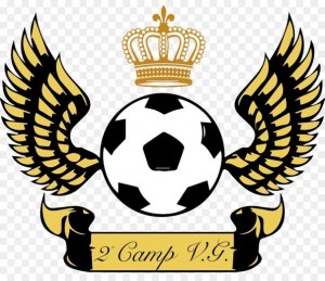 Создать мем: футбол эмблема с крыльями, щит с мячом логотип, выдуманные футбольные эмблемы